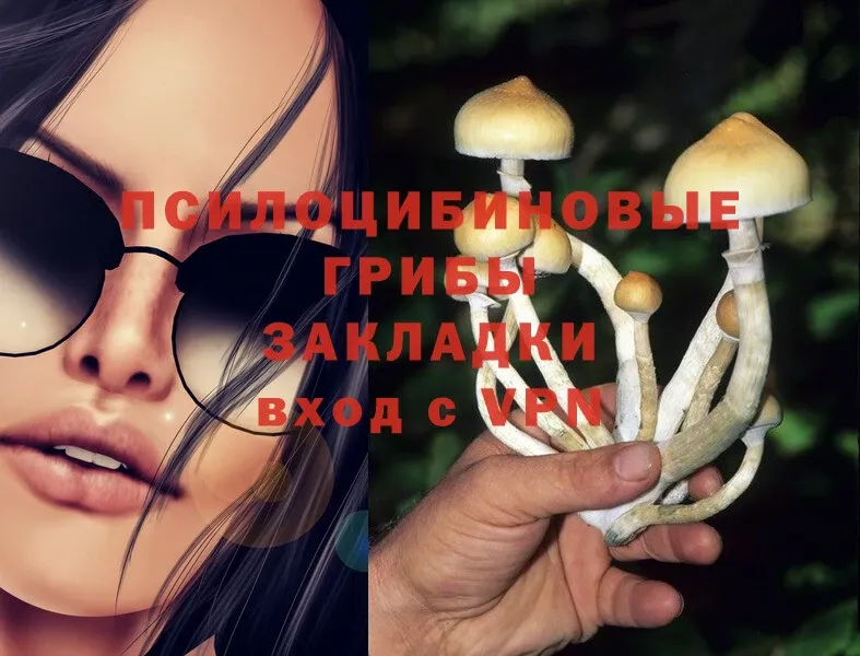 Галлюциногенные грибы Cubensis  Анапа 